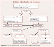 Table 2 - Evaluation and treatment of fecal incontinence